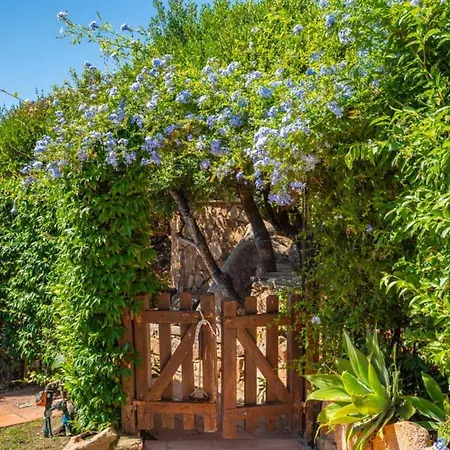 Piperita - By Searly * San Teodoro (Sardinia)