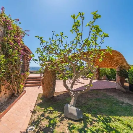 Piperita - By Searly Villa San Teodoro