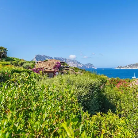 Villa Piperita - By Searly *